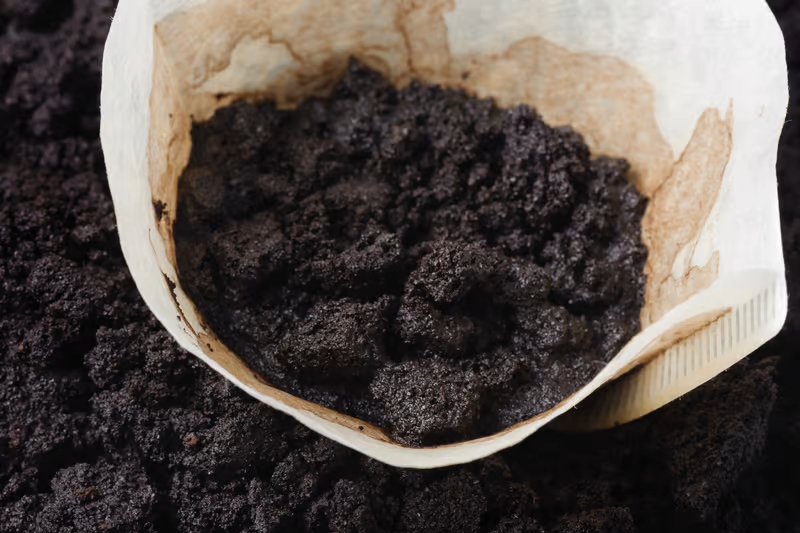 تفاله قهوه coffee grounds سایت زیلوکس