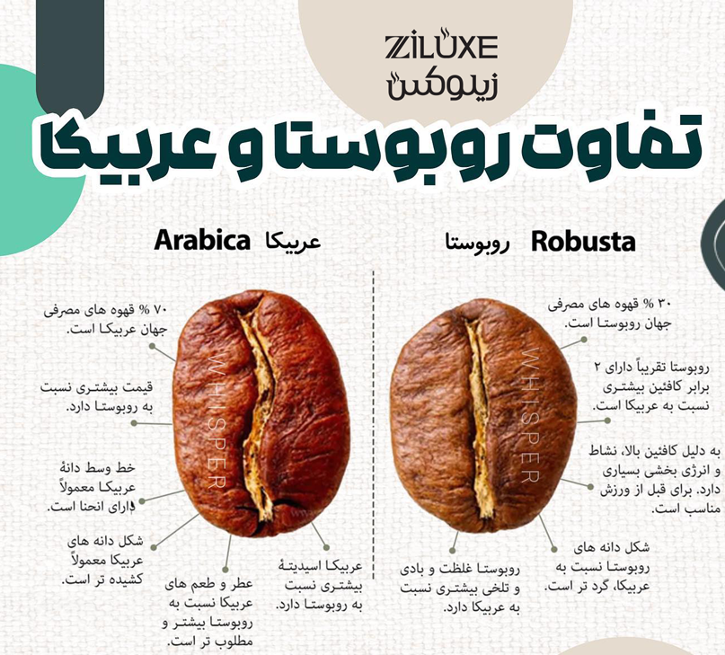 تشخیص ظاهری دانه عربیکا و روبوستا Visual identification of Arabica and Robusta seeds - سایت زیلوکس